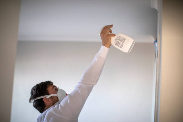 Best Best Mold Removal Companies  in Macon, MS