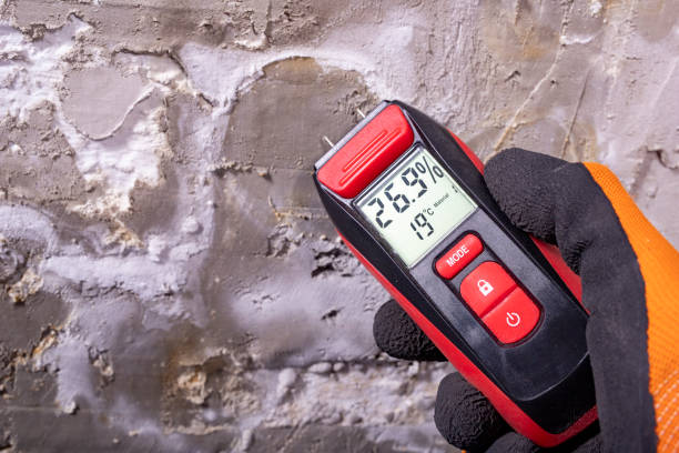 Best Commercial Mold Removal  in Macon, MS